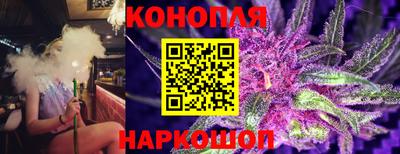 мет Камышлов