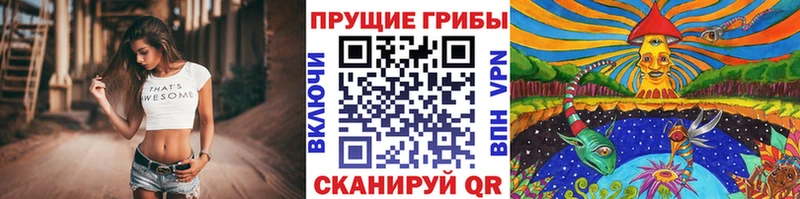 Псилоцибиновые грибы MAGIC MUSHROOMS  Тобольск 